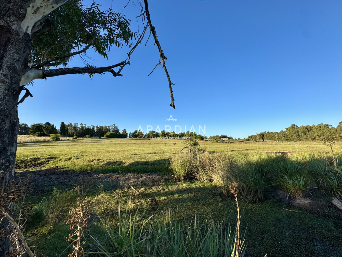 Chacra ID.21099241 - Chacra en venta a minutos de Punta del Este