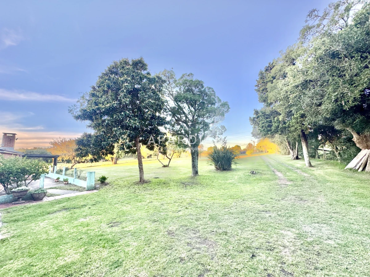 Chacra ID.21099394 - Venta chacra 1ha sobre ruta 9