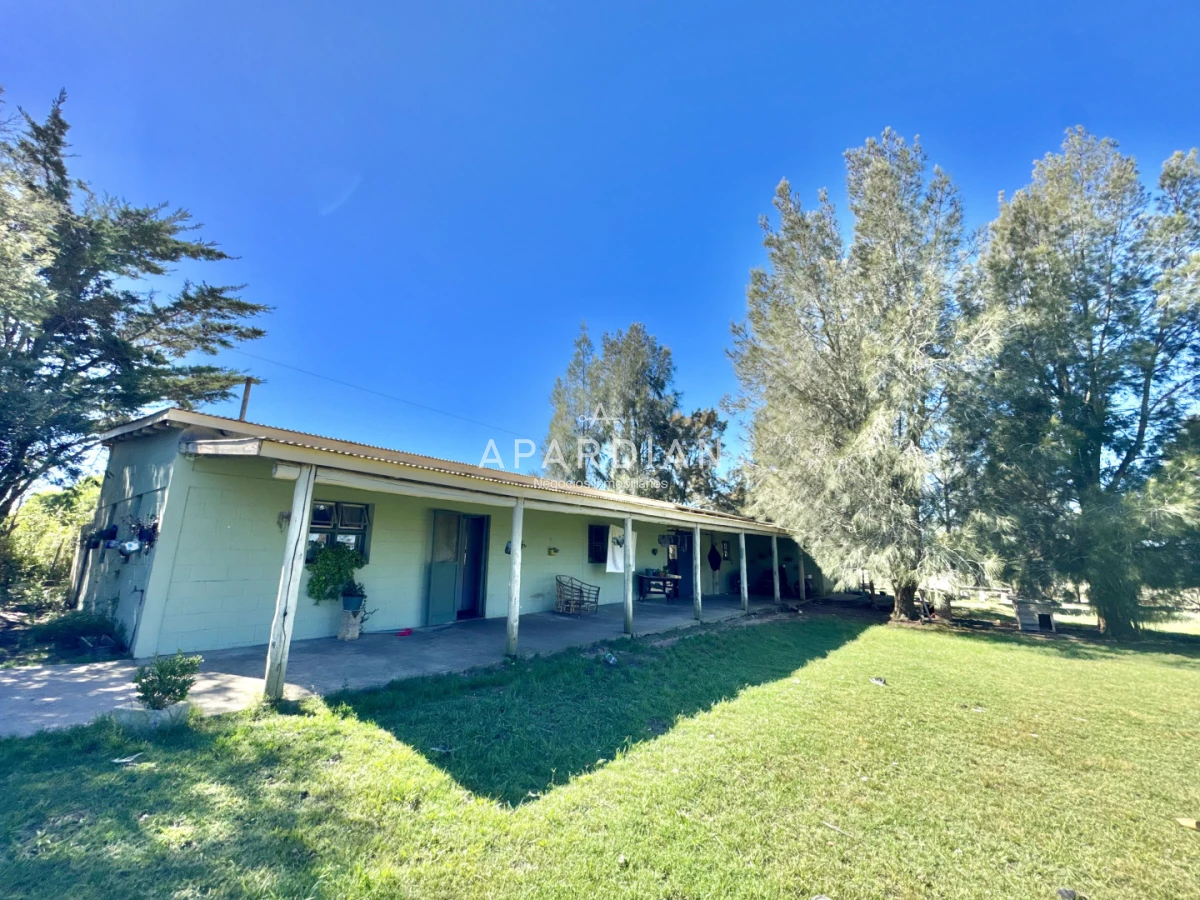 Chacra ID.21099261 - Chacra en venta en las exclusivas colinas de José Ignacio