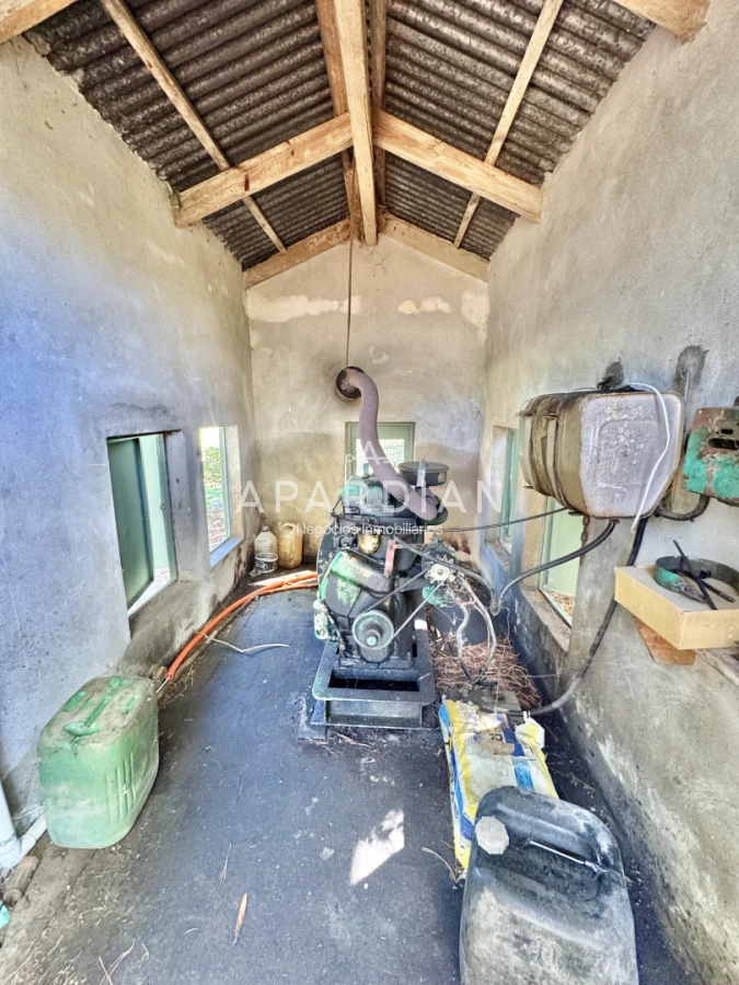 Chacra ID.21099261 - Chacra en venta en las exclusivas colinas de José Ignacio