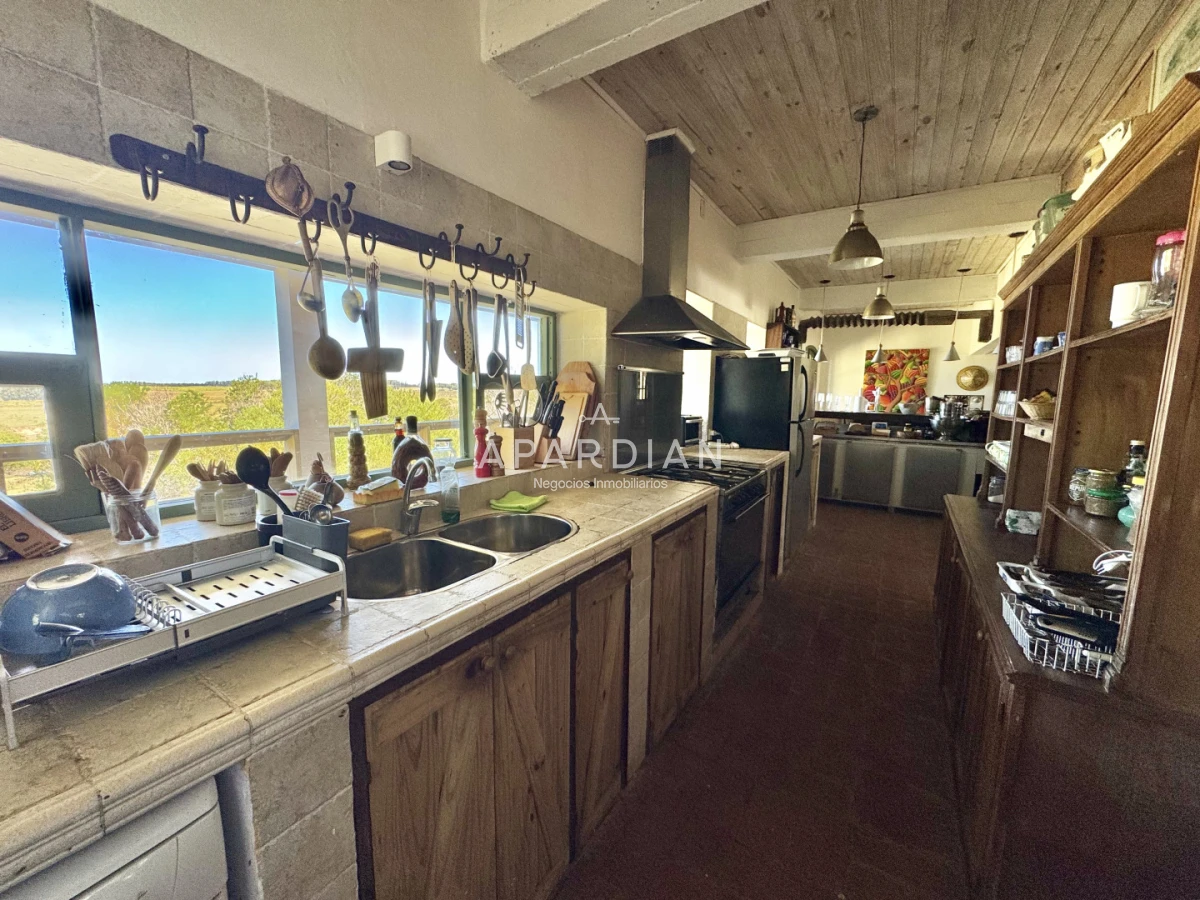 Chacra ID.21099261 - Chacra en venta en las exclusivas colinas de José Ignacio