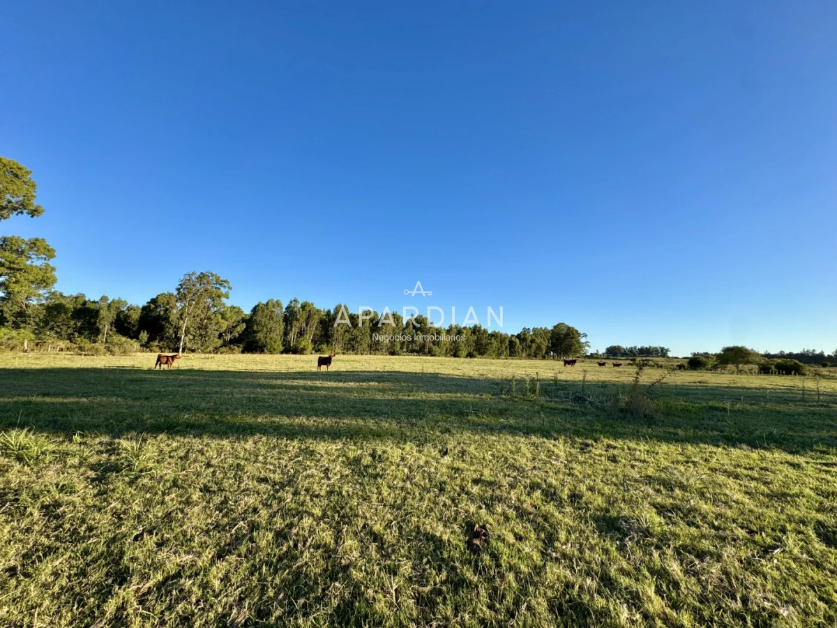 Chacra ID.21099241 - Chacra en venta a minutos de Punta del Este