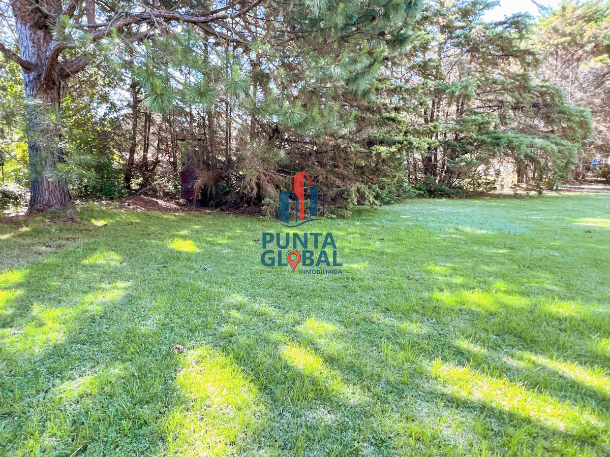 Local Comercial ID.16 - Venta de Local y amplio terreno excelente para negocio