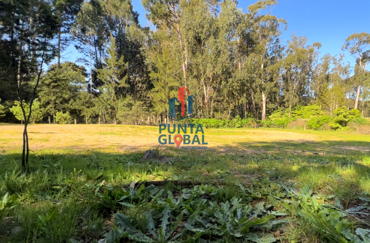 Terreno ID.14 - Terreno en venta zona residencial, pinares