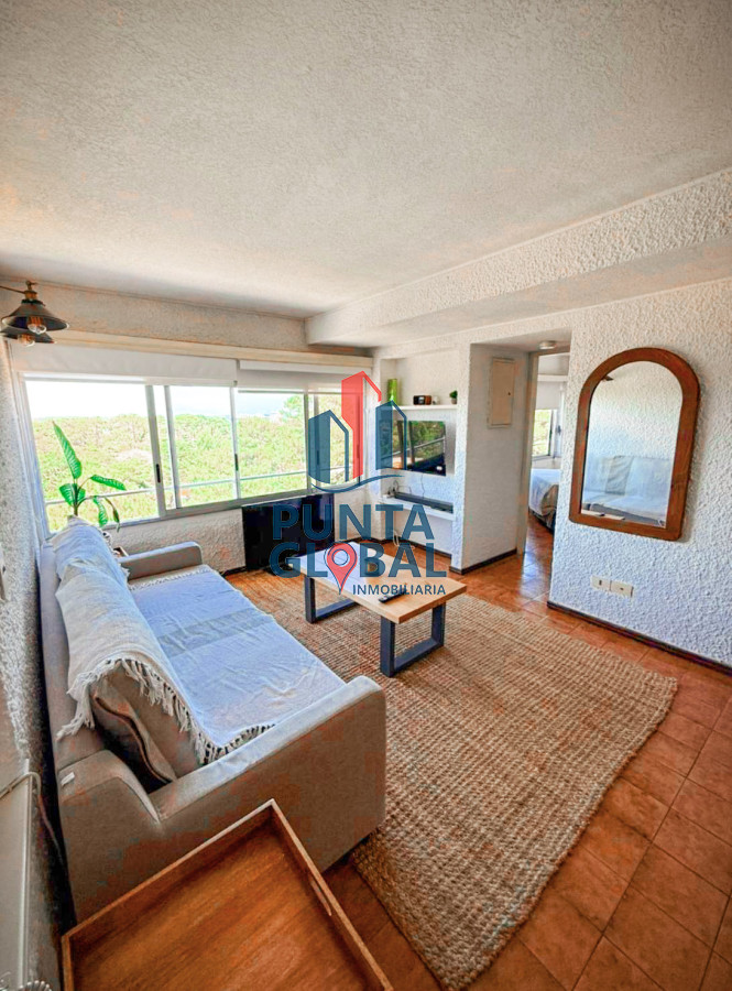 Apartamento ID.48 - Alquiler Invernal 1 Dormitorio Roosevelt