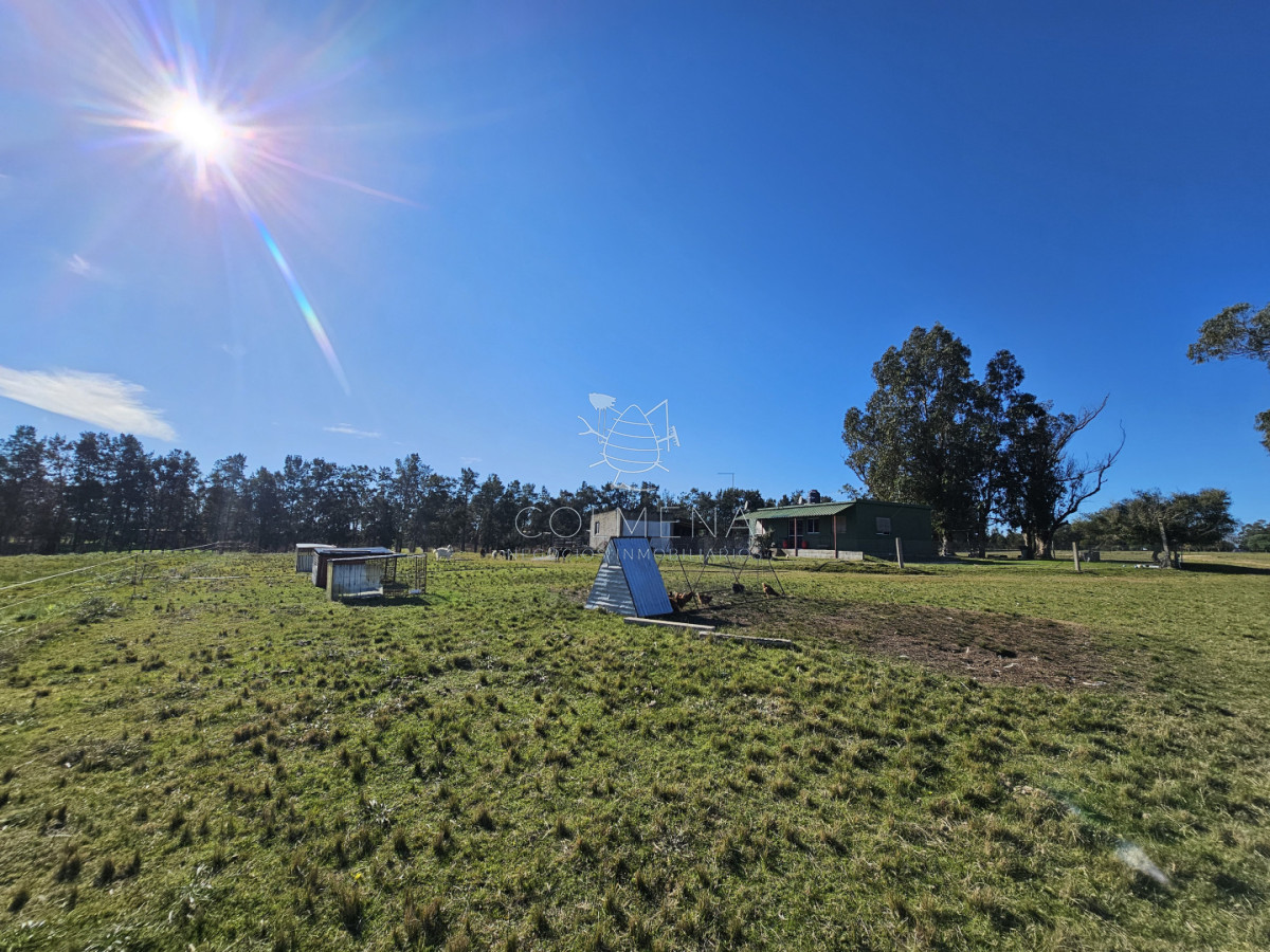 CHACRA EN VENTA SOBRE RUTA 39