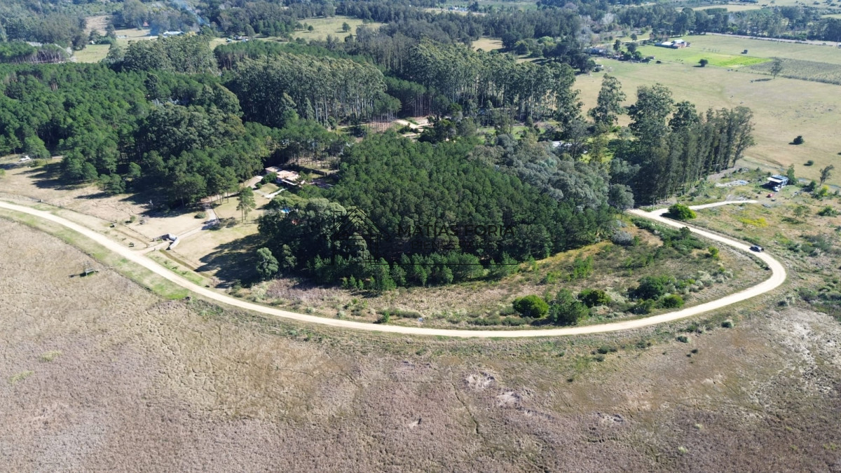 Terreno ID.103 - TERRENO 5.000 M2