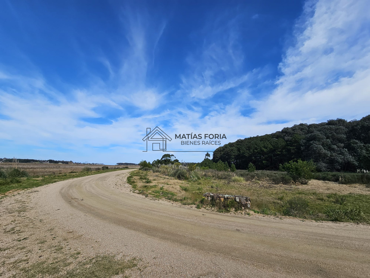 Terreno ID.103 - TERRENO 5.000 M2