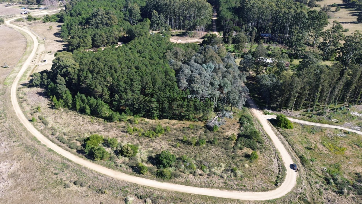 Terreno ID.103 - TERRENO 5.000 M2