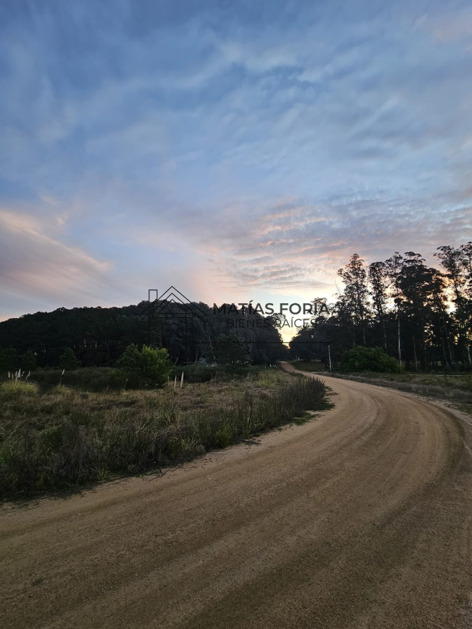 Terreno ID.103 - TERRENO 5.000 M2