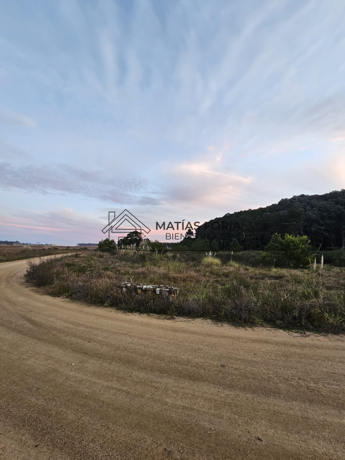 Terreno ID.103 - TERRENO 5.000 M2