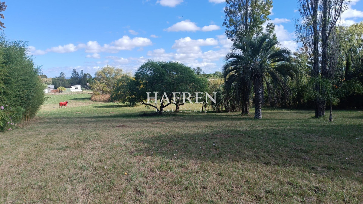 Terreno ID.287 - Venta de lotes en El Tesoro, 5994 m2