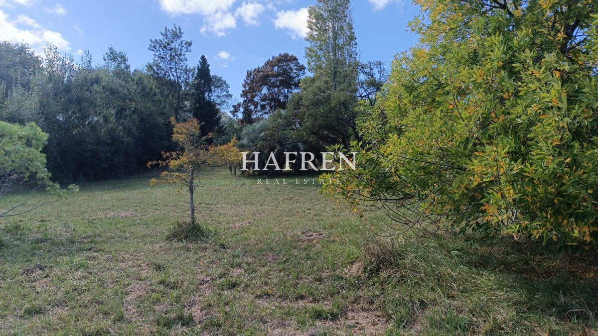 Terreno ID.287 - Venta de lotes en El Tesoro, 5994 m2