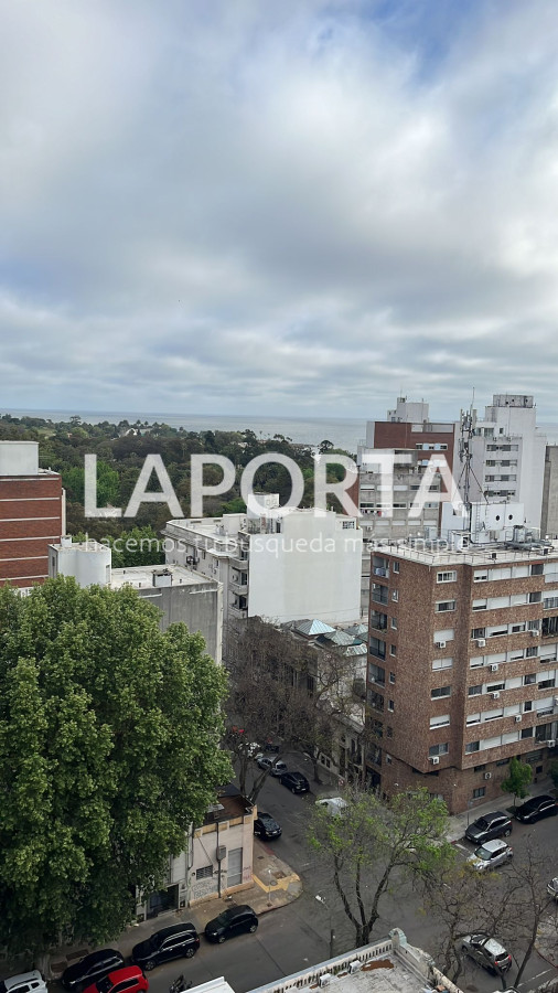 Apartamento ID.350/Alquiler-monoambiente-en-Parque-Batlle-con-vistas-despejadas,-al-mar-y-a-al-parque. - Alquiler monoambiente en Parque Batlle con vistas despejadas, al mar y a al parque.