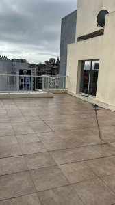 Apartamento ID.350/Alquiler-monoambiente-en-Parque-Batlle-con-vistas-despejadas,-al-mar-y-a-al-parque. - Alquiler monoambiente en Parque Batlle con vistas despejadas, al mar y a al parque.