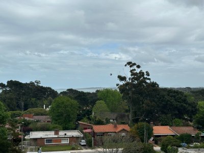 Apartamento ID.259 - Apartamento de 3 dormitorios en venta en Punta del Este