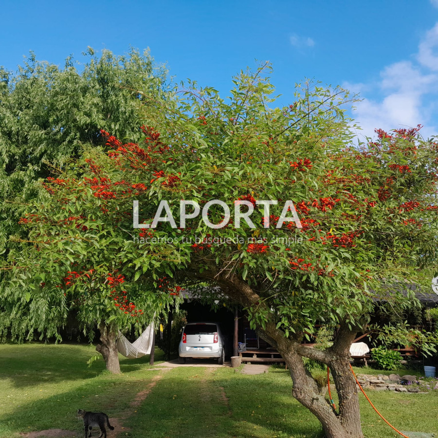 Casa ID.495/Tu-nuevo-hogar:-Disfruta-de-la-naturaleza-y-la-playa-en-La-Pedrera,-Rocha. - Tu nuevo hogar: Disfruta de la naturaleza y la playa en La Pedrera, Rocha.