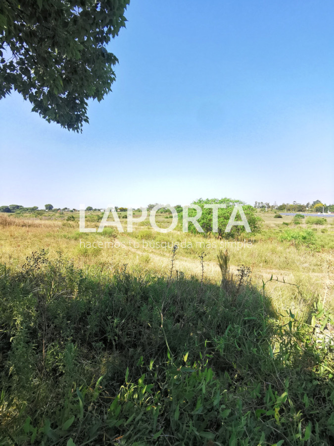 Chacra ID.1743/Chacra-con-casa-en-la-planta-Urbana-de-Salto - Chacra con casa en la planta Urbana de Salto