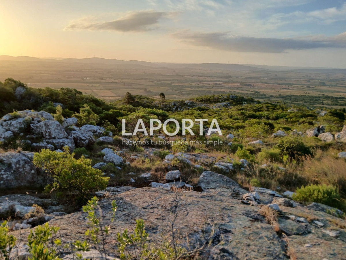 Chacra ID.649/Chacras-turísticas-en-Venta-en-Punta-del-Este - Chacras turísticas en Venta en Punta del Este