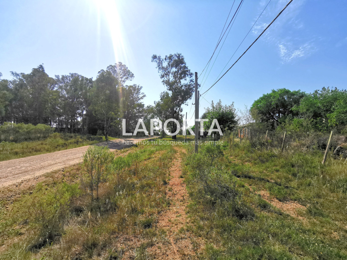 Chacra ID.1743/Chacra-con-casa-en-la-planta-Urbana-de-Salto - Chacra con casa en la planta Urbana de Salto
