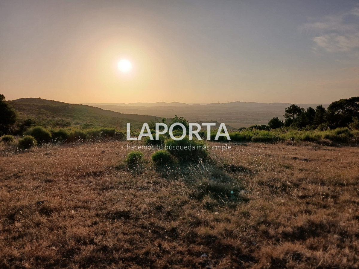 Chacra ID.649/Chacras-turísticas-en-Venta-en-Punta-del-Este - Chacras turísticas en Venta en Punta del Este