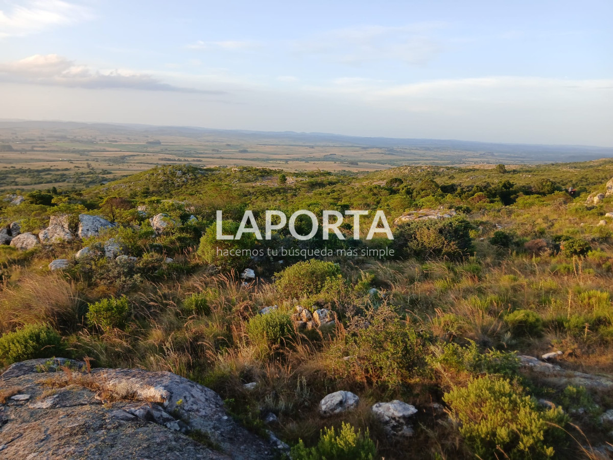 Chacra ID.649/Chacras-turísticas-en-Venta-en-Punta-del-Este - Chacras turísticas en Venta en Punta del Este