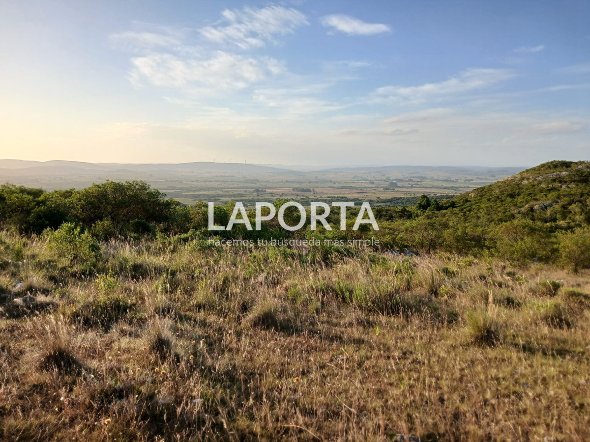 Chacra ID.649/Chacras-turísticas-en-Venta-en-Punta-del-Este - Chacras turísticas en Venta en Punta del Este