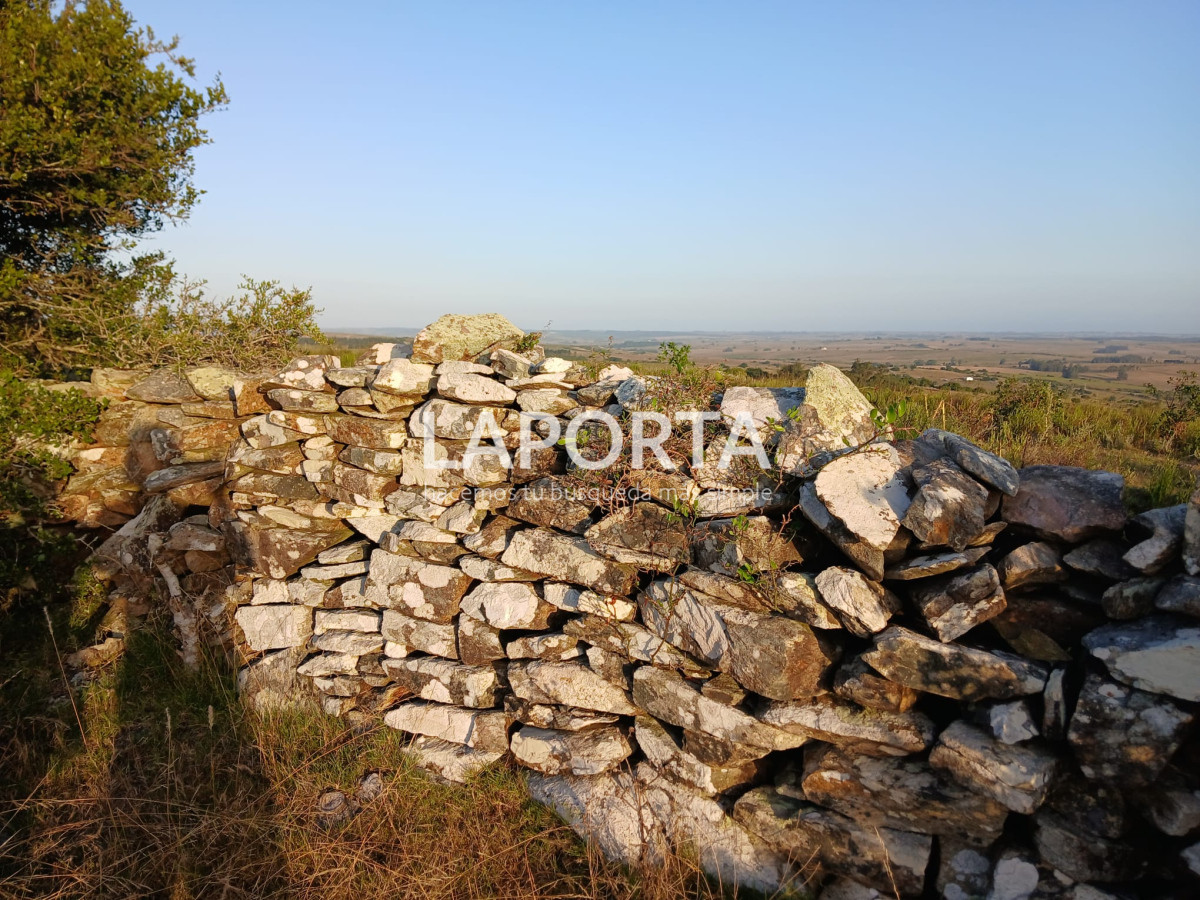 Chacra ID.649/Chacras-turísticas-en-Venta-en-Punta-del-Este - Chacras turísticas en Venta en Punta del Este