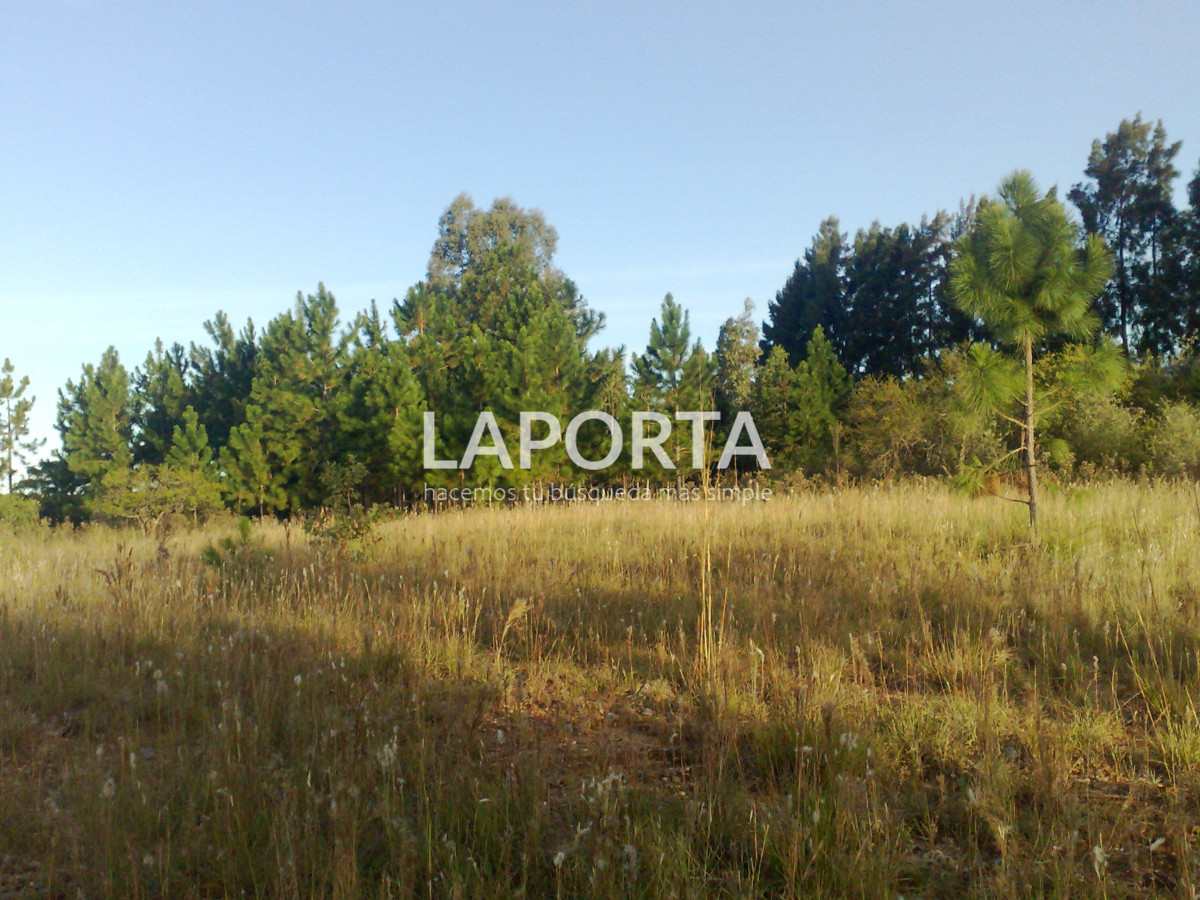 Chacra ID.1114/Chacra-en-venta-en-Costanera-Norte-con-financiación - Chacra en venta en Costanera Norte con financiación