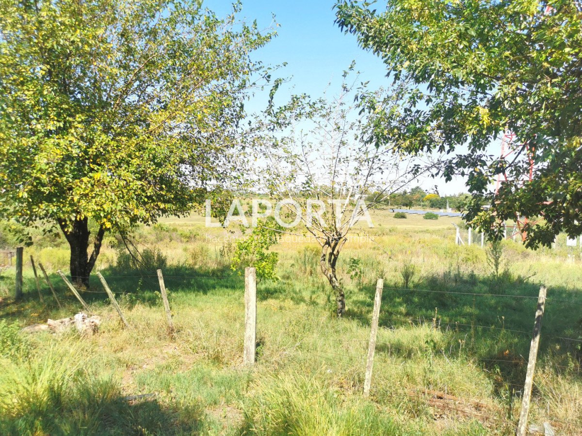 Chacra ID.1743/Chacra-con-casa-en-la-planta-Urbana-de-Salto - Chacra con casa en la planta Urbana de Salto