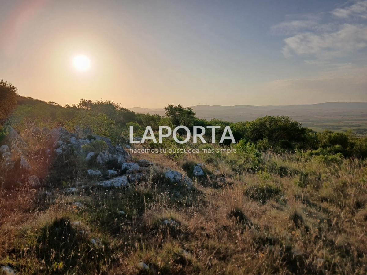 Chacra ID.649/Chacras-turísticas-en-Venta-en-Punta-del-Este - Chacras turísticas en Venta en Punta del Este