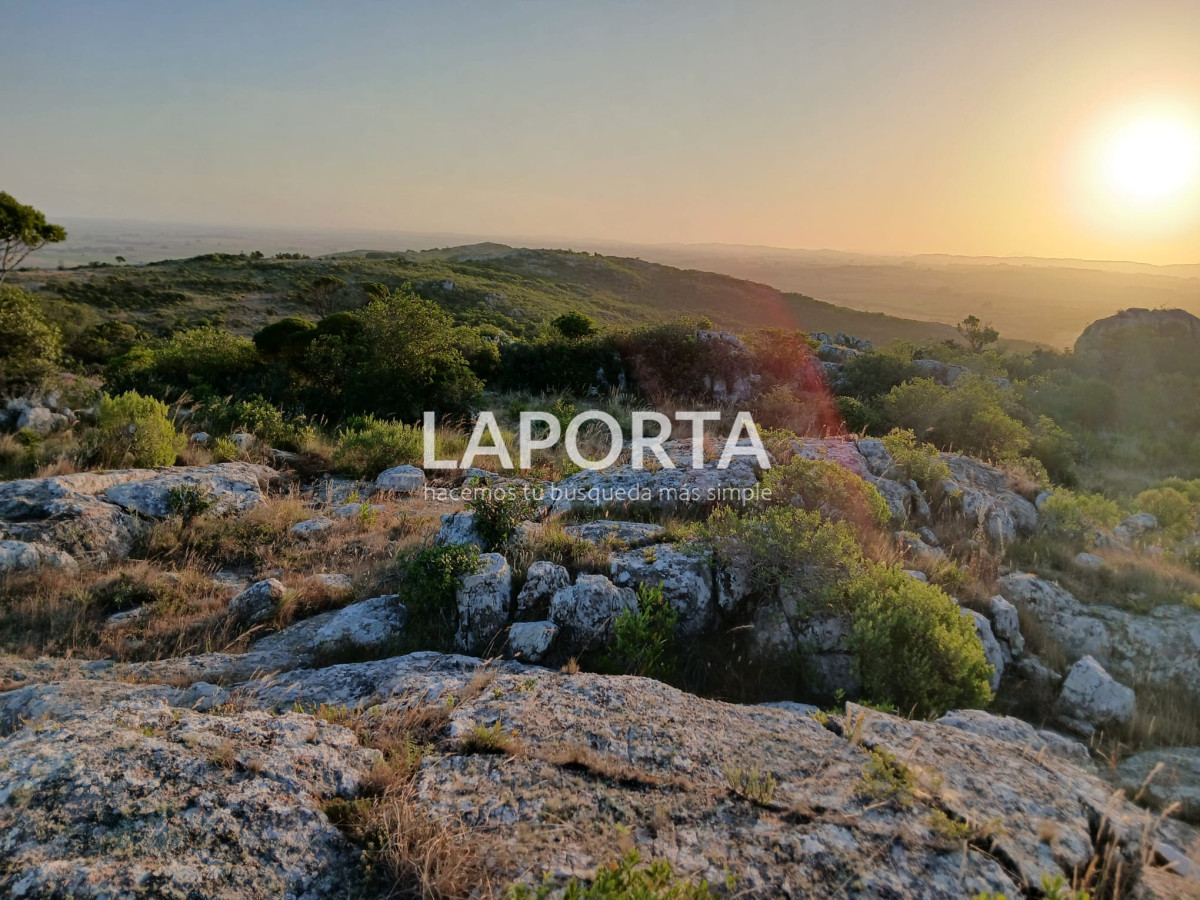 Chacra ID.649/Chacras-turísticas-en-Venta-en-Punta-del-Este - Chacras turísticas en Venta en Punta del Este