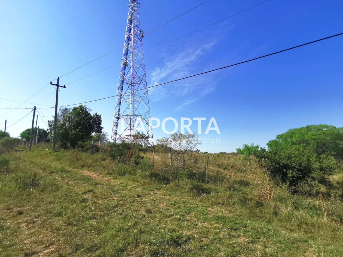 Chacra ID.1743/Chacra-con-casa-en-la-planta-Urbana-de-Salto - Chacra con casa en la planta Urbana de Salto