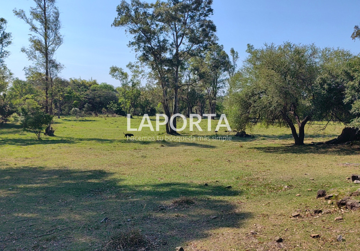 Chacra ID.1319/Chacra-en-venta-próxima-al-Hipódromo,-Salto. - Chacra en venta próxima al Hipódromo, Salto.