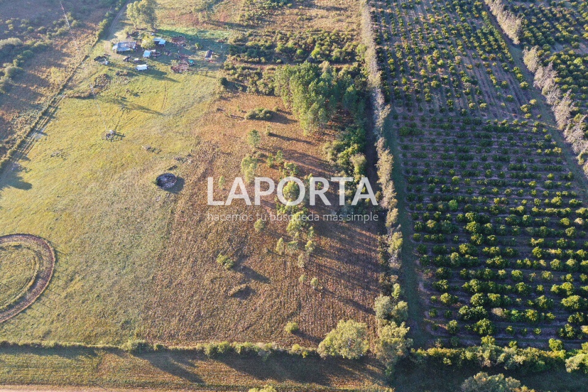 Chacra ID.1114/Chacra-en-venta-en-Costanera-Norte-con-financiación - Chacra en venta en Costanera Norte con financiación