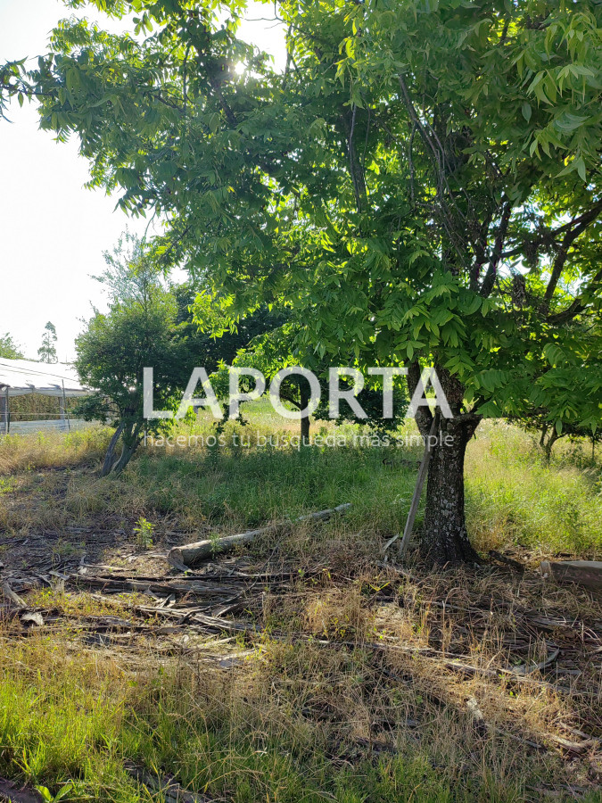 Chacra ID.482/Chacra-en-Zona-Hipódromo:-Oportunidad-para-Comprar-una-Propiedad-Única-en-Producción - Chacra en Zona Hipódromo: Oportunidad para Comprar una Propiedad Única en Producción