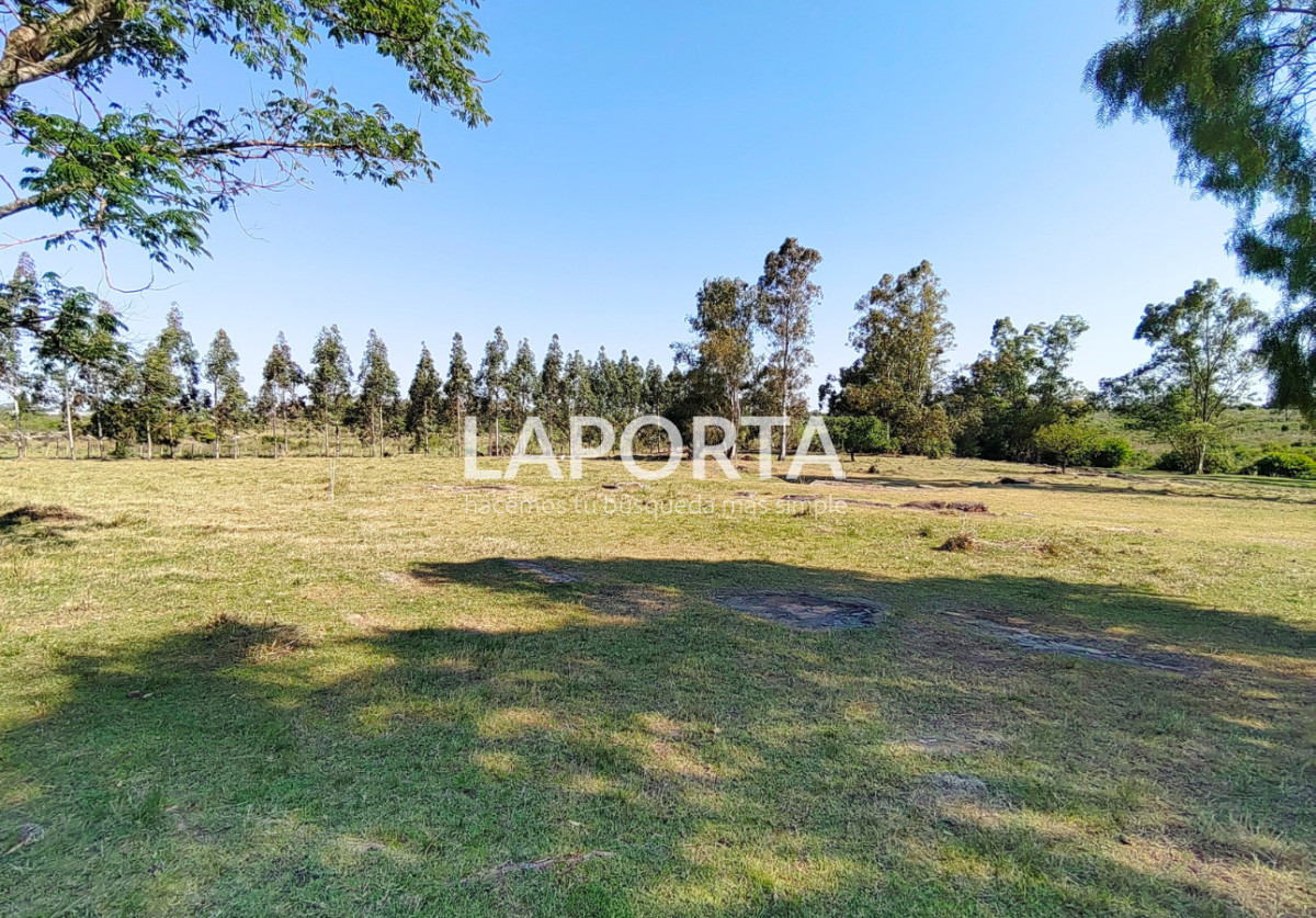 Chacra ID.1319/Chacra-en-venta-próxima-al-Hipódromo,-Salto. - Chacra en venta próxima al Hipódromo, Salto.