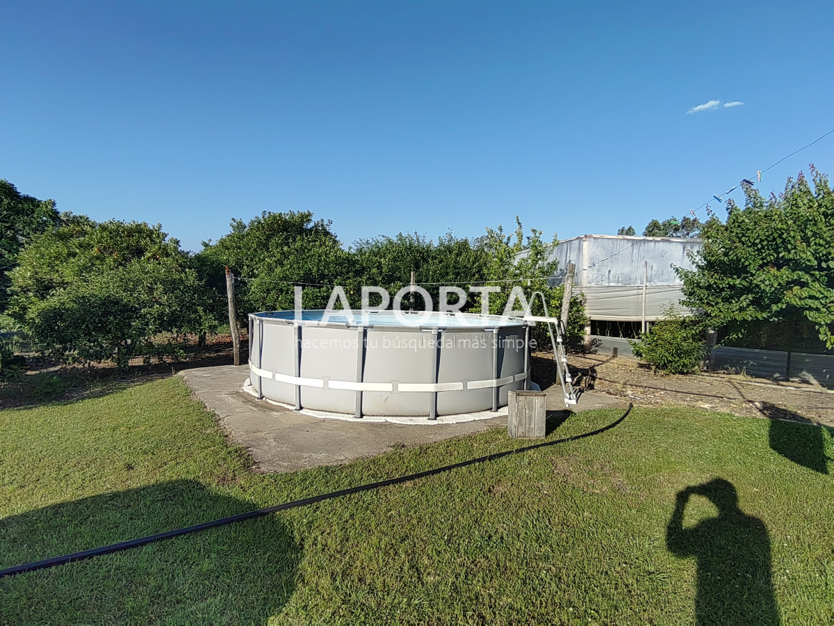 Chacra ID.482/Chacra-en-Zona-Hipódromo:-Oportunidad-para-Comprar-una-Propiedad-Única-en-Producción - Chacra en Zona Hipódromo: Oportunidad para Comprar una Propiedad Única en Producción