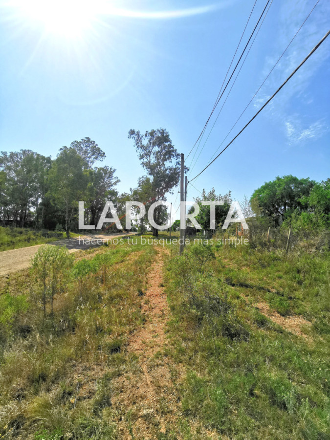 Chacra ID.1743/Chacra-con-casa-en-la-planta-Urbana-de-Salto - Chacra con casa en la planta Urbana de Salto