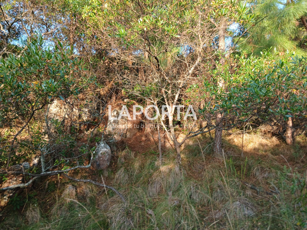 Chacra ID.649/Chacras-turísticas-en-Venta-en-Punta-del-Este - Chacras turísticas en Venta en Punta del Este