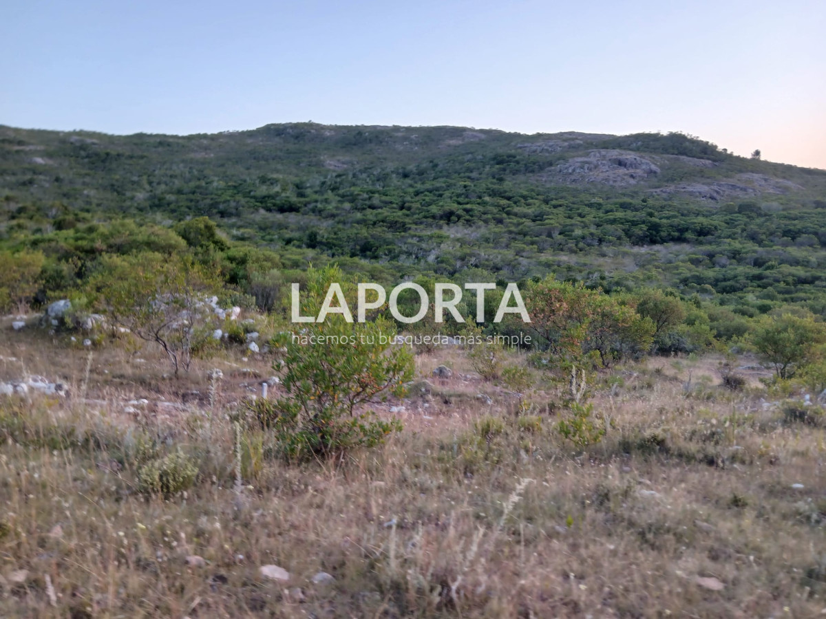 Chacra ID.649/Chacras-turísticas-en-Venta-en-Punta-del-Este - Chacras turísticas en Venta en Punta del Este