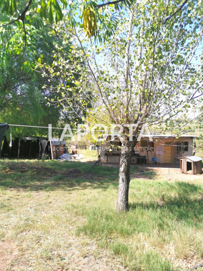 Chacra ID.1743/Chacra-con-casa-en-la-planta-Urbana-de-Salto - Chacra con casa en la planta Urbana de Salto