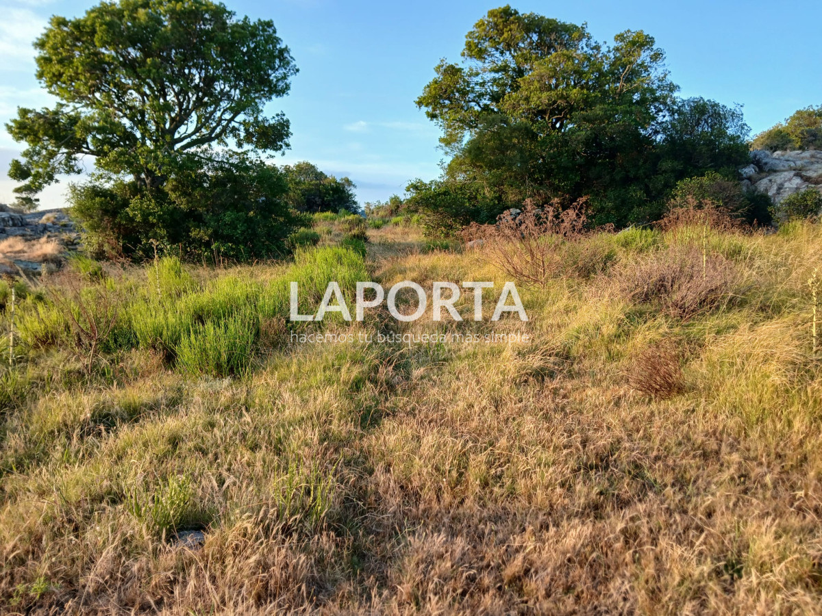 Chacra ID.649/Chacras-turísticas-en-Venta-en-Punta-del-Este - Chacras turísticas en Venta en Punta del Este