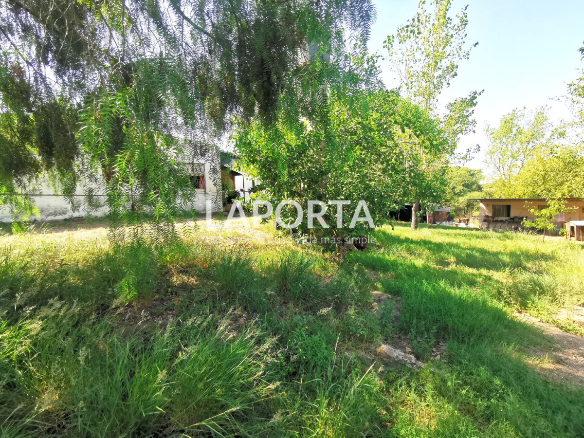Chacra ID.1743/Chacra-con-casa-en-la-planta-Urbana-de-Salto - Chacra con casa en la planta Urbana de Salto