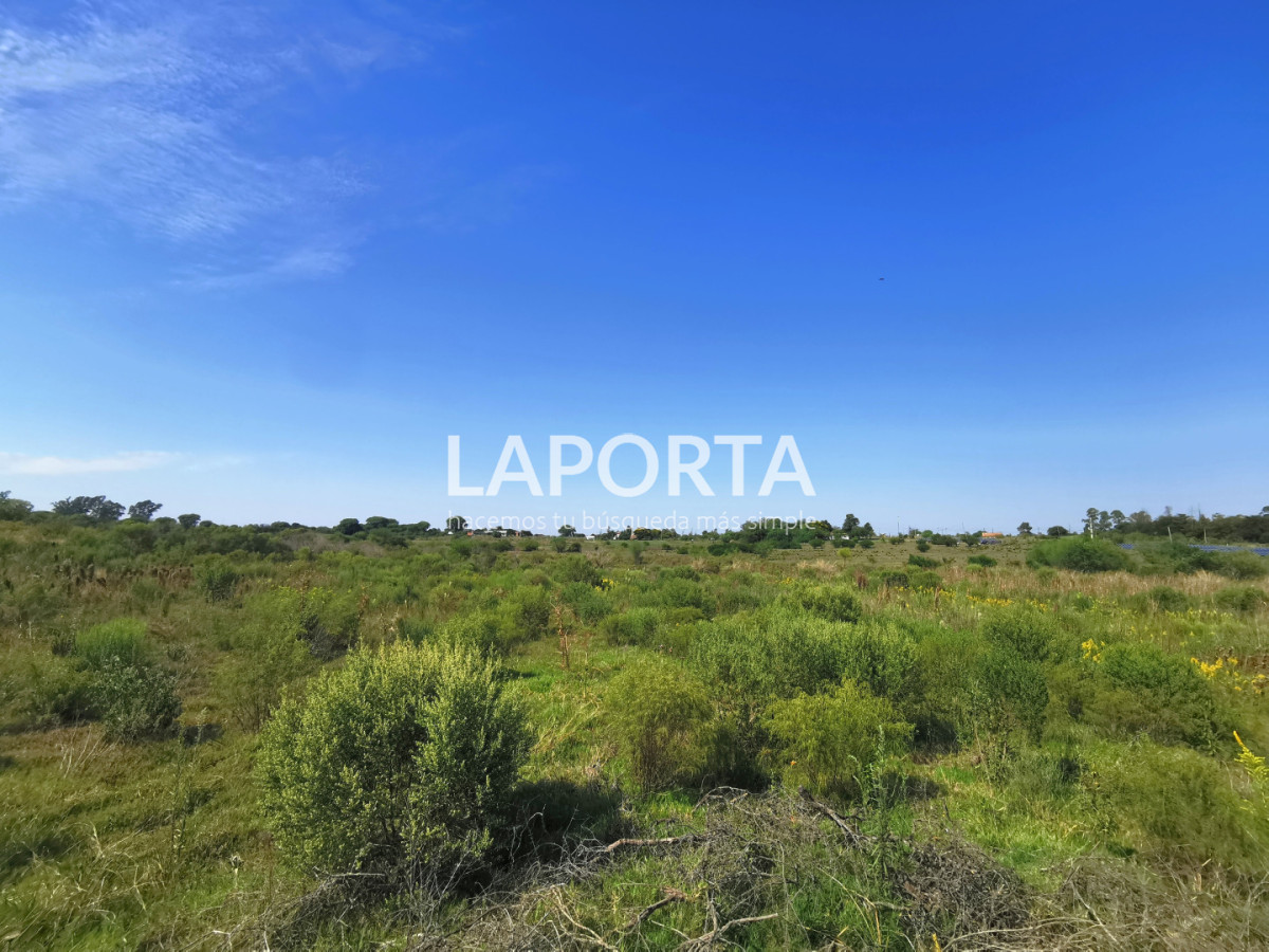 Chacra ID.1743/Chacra-con-casa-en-la-planta-Urbana-de-Salto - Chacra con casa en la planta Urbana de Salto