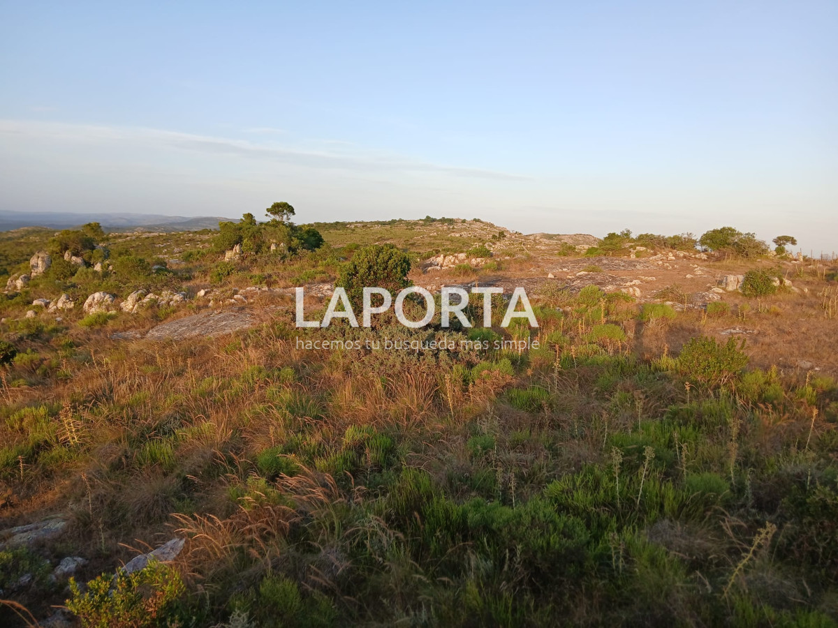 Chacra ID.649/Chacras-turísticas-en-Venta-en-Punta-del-Este - Chacras turísticas en Venta en Punta del Este