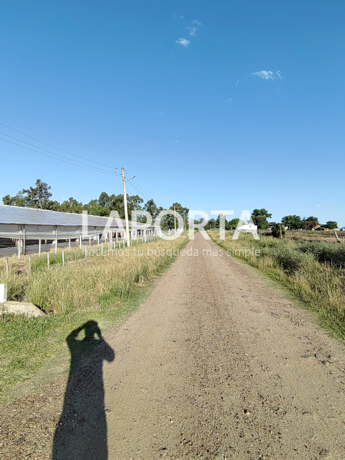 Chacra ID.482/Chacra-en-Zona-Hipódromo:-Oportunidad-para-Comprar-una-Propiedad-Única-en-Producción - Chacra en Zona Hipódromo: Oportunidad para Comprar una Propiedad Única en Producción