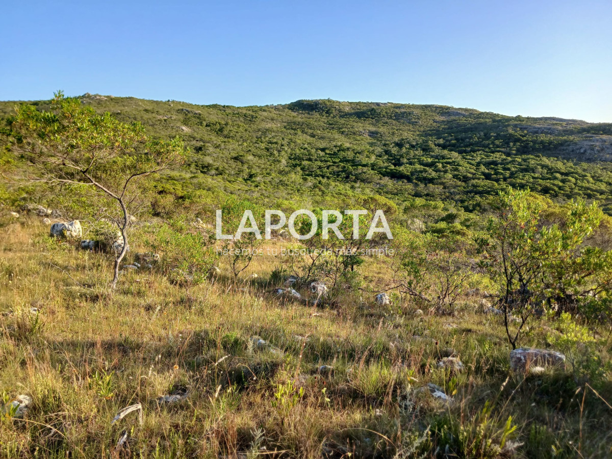 Chacra ID.649/Chacras-turísticas-en-Venta-en-Punta-del-Este - Chacras turísticas en Venta en Punta del Este