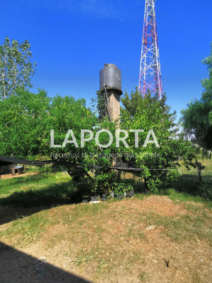 Chacra ID.1743/Chacra-con-casa-en-la-planta-Urbana-de-Salto - Chacra con casa en la planta Urbana de Salto
