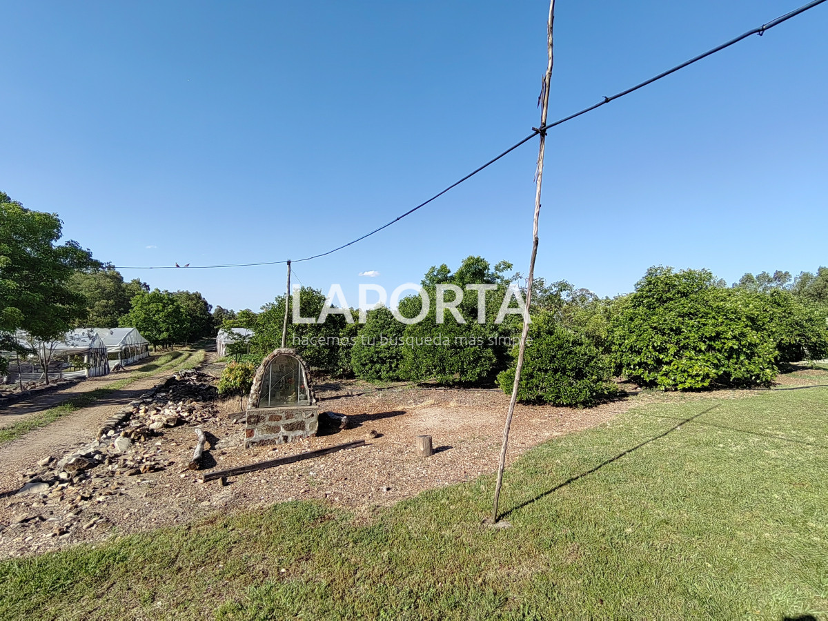 Chacra ID.482/Chacra-en-Zona-Hipódromo:-Oportunidad-para-Comprar-una-Propiedad-Única-en-Producción - Chacra en Zona Hipódromo: Oportunidad para Comprar una Propiedad Única en Producción